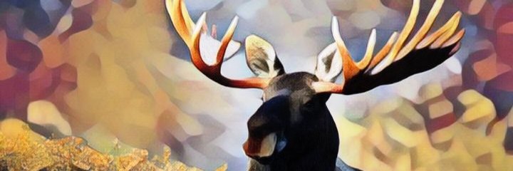 Alaskan Tequila's banner