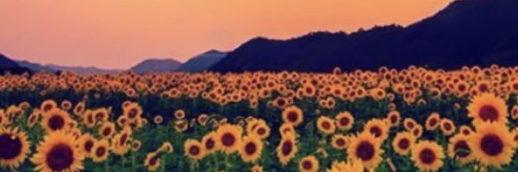 rafatafarello's profile banner image