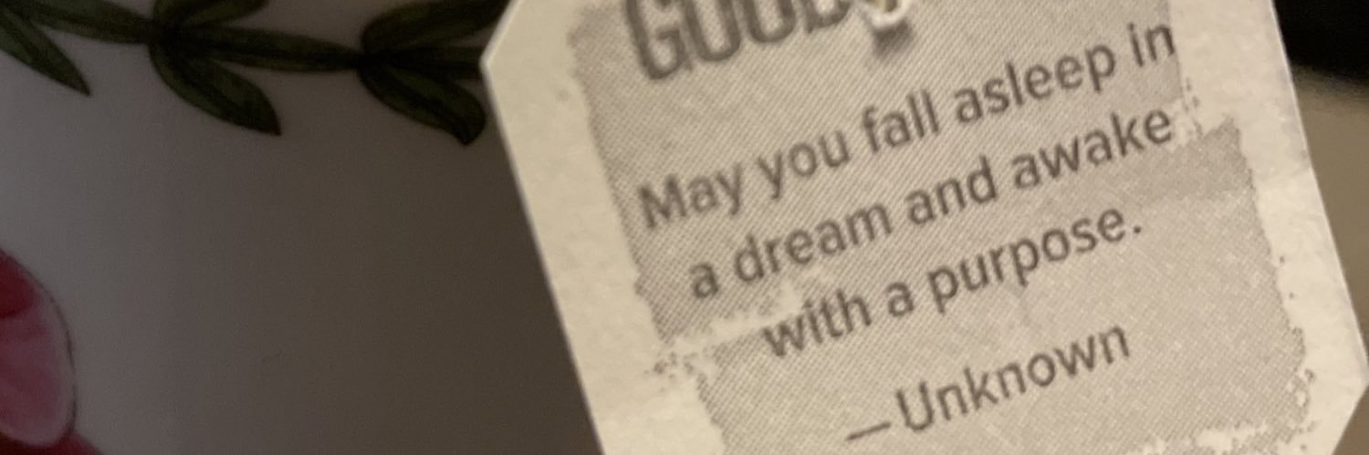 tigerlil_e's profile banner image