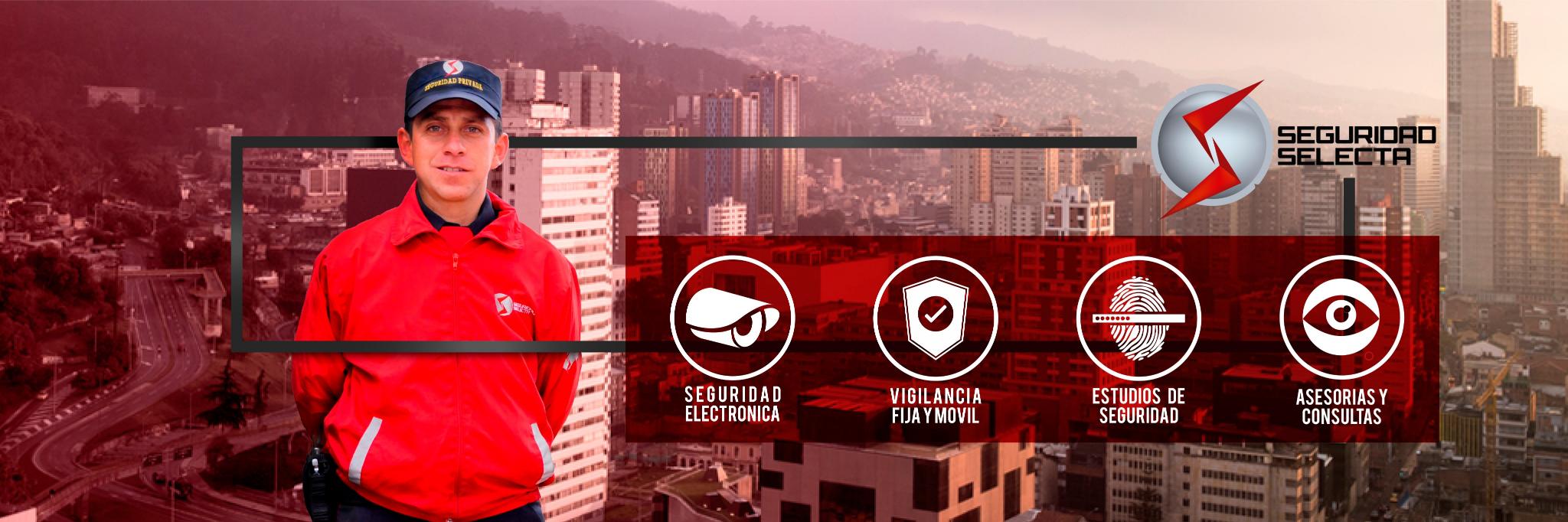 seguselecta's profile banner image