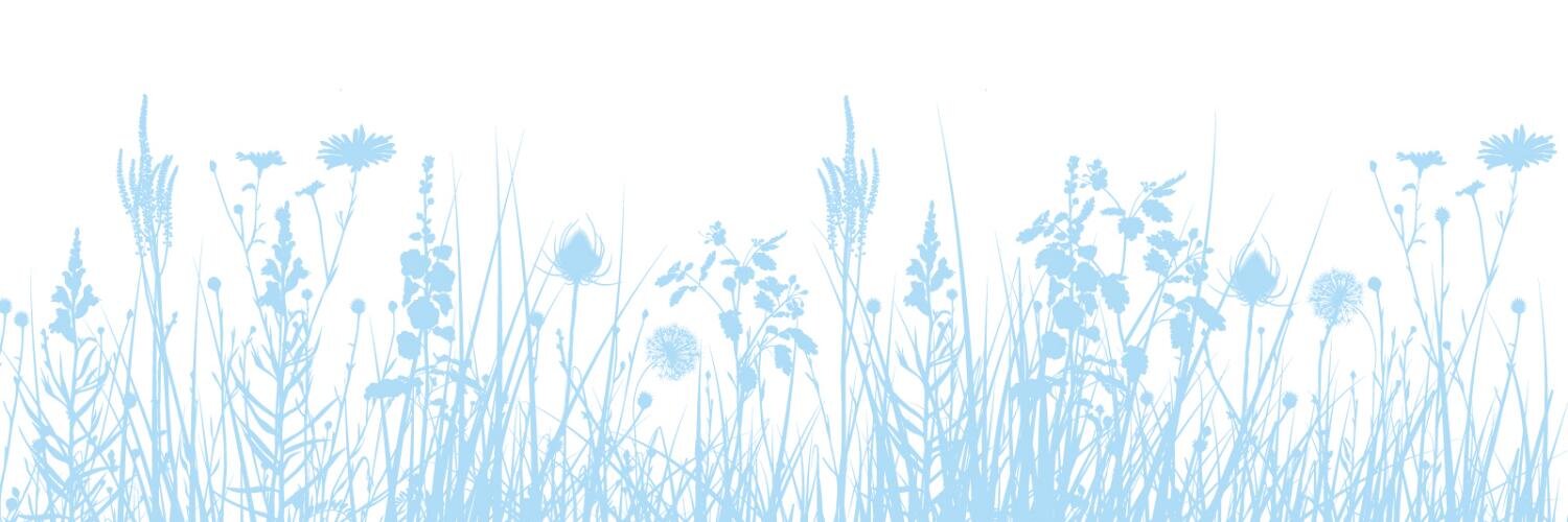 Blue Grass Community Foundation banner