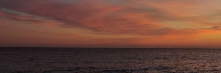 meliniafebr's profile banner image