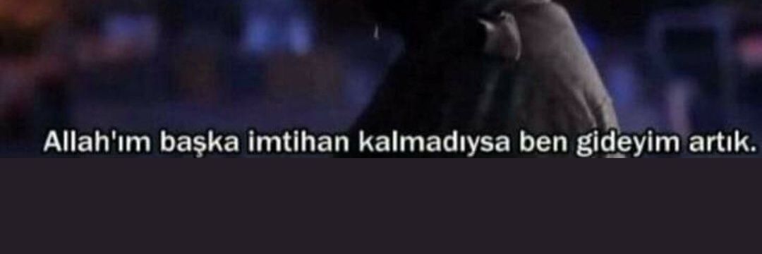 Selinsasmaz44's profile banner image