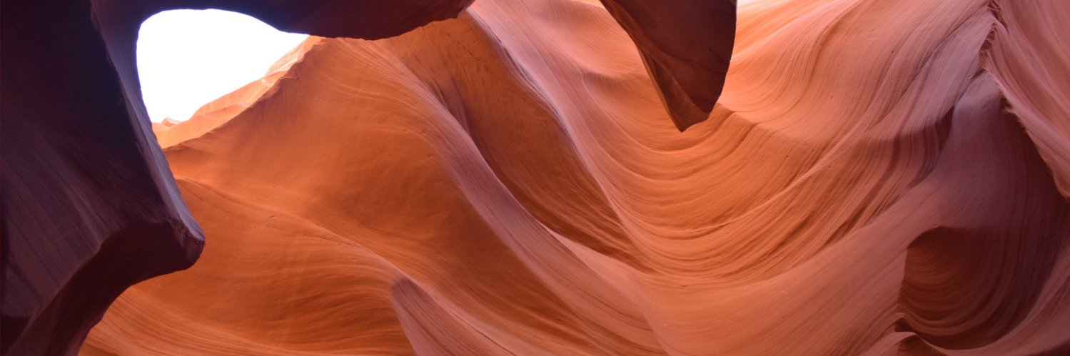 annekepeter's profile banner image