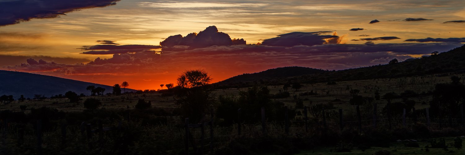 anuanga's profile banner image