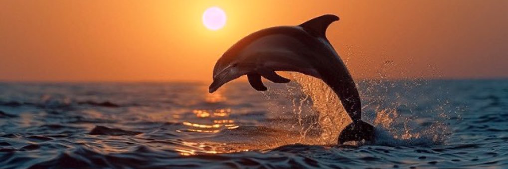 Petra Meyer 🇺🇸🇮🇱🇺🇦✝️ banner