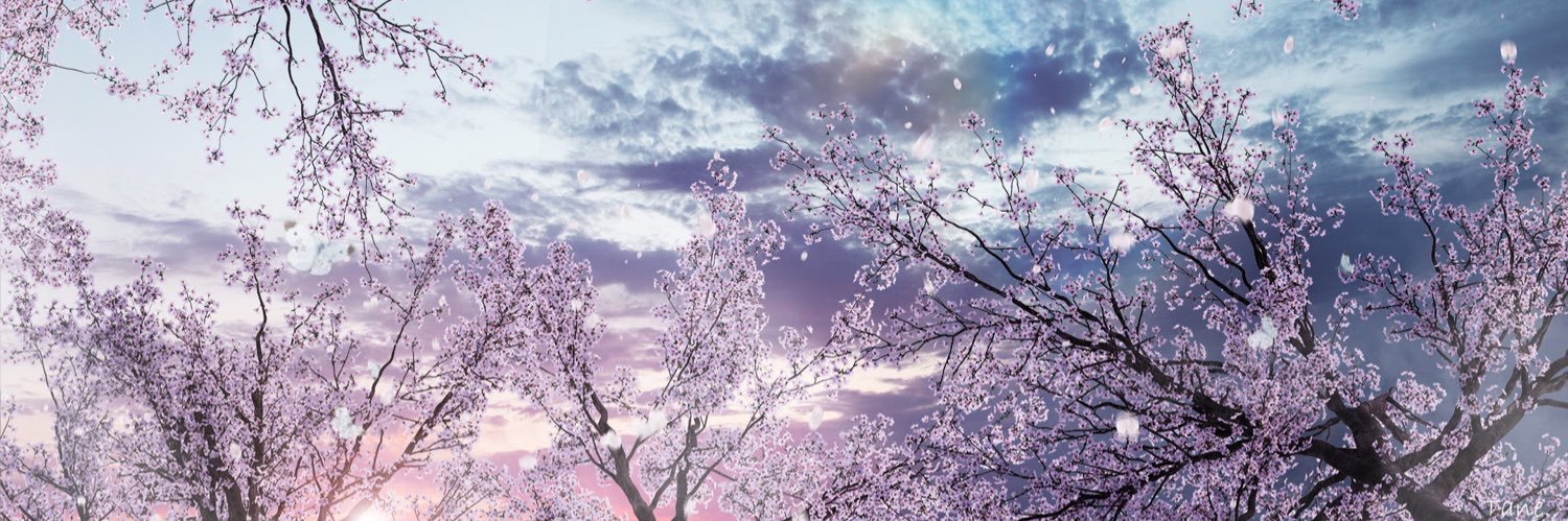 Tane. banner