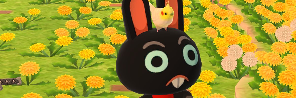 ganbare_bunbun's profile banner image
