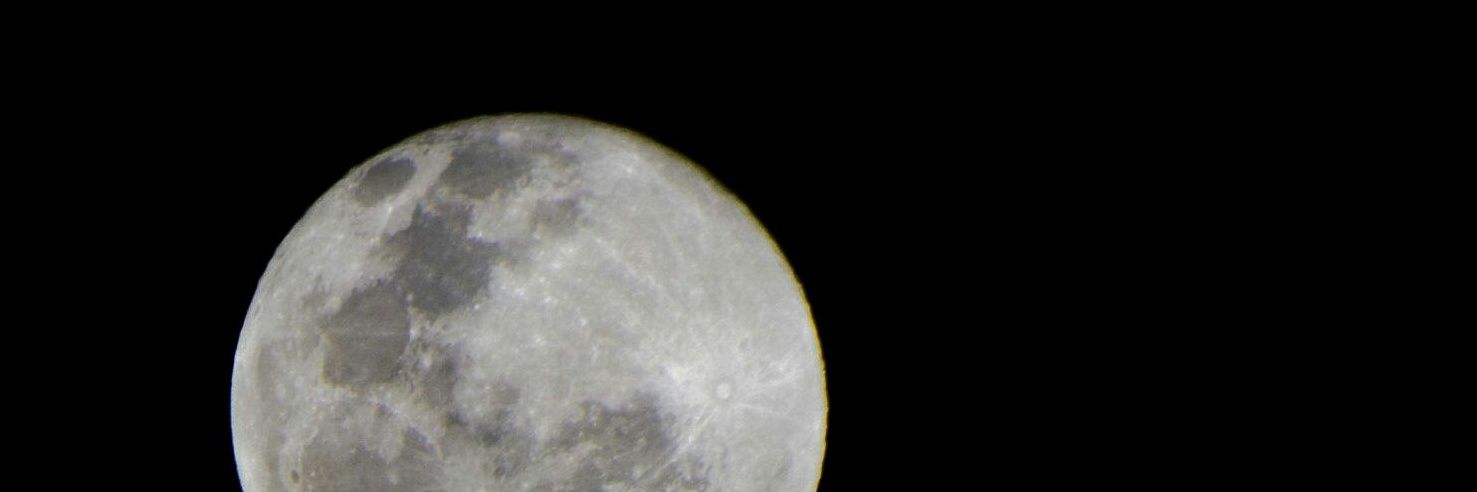 A. banner