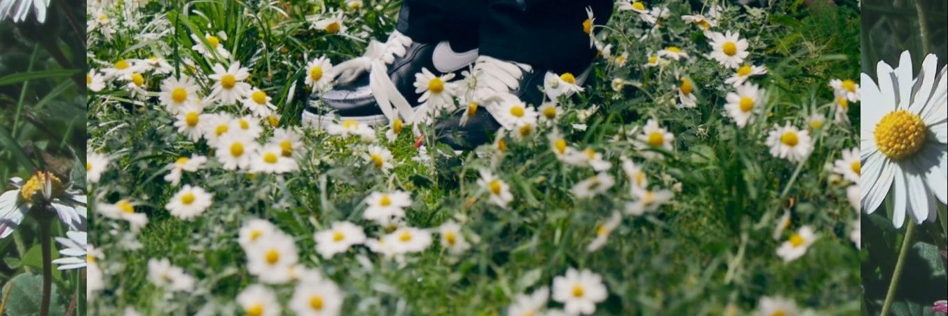 angie_tm's profile banner image