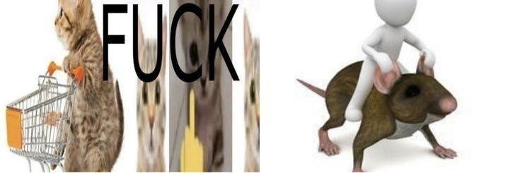 dekmagu's profile banner image