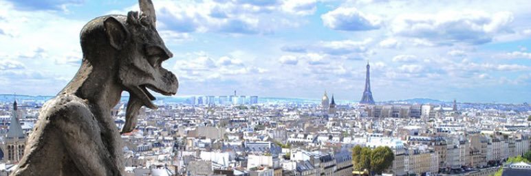 りゅう🐉 banner