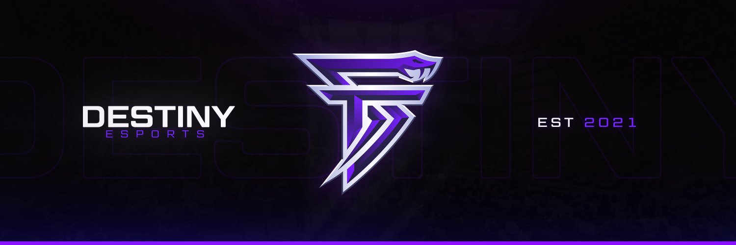 Destiny Esports banner