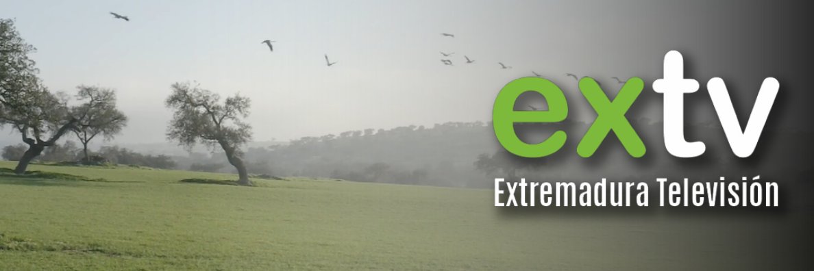 extv banner