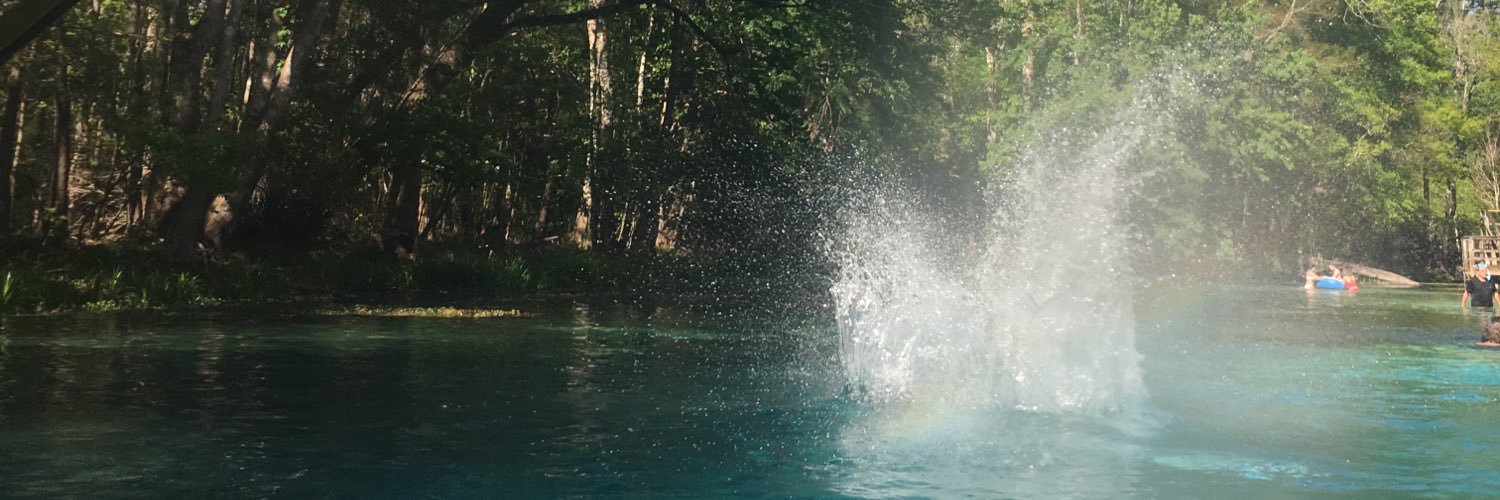 brisickles's profile banner image
