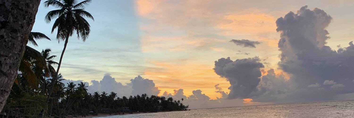 aliidela29's profile banner image