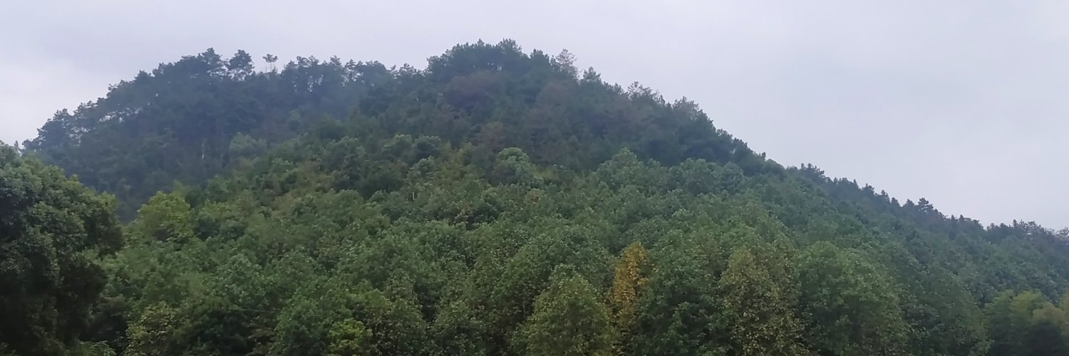 DZhu1028's profile banner image