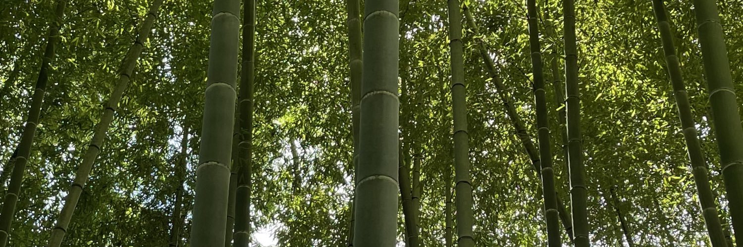 terupin75's profile banner image