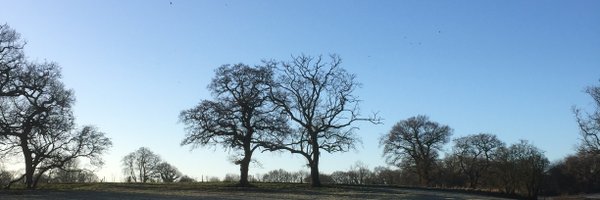 wparrysmith Profile Banner