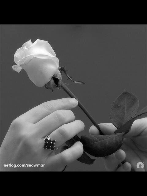 _355926's profile banner image