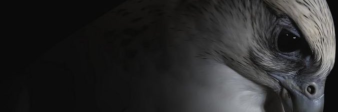 vvvip_10's profile banner image