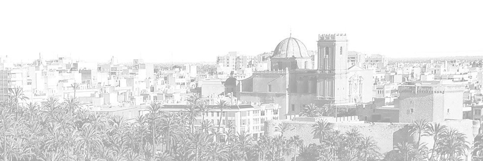 🌴 Elche 🇪🇸 banner