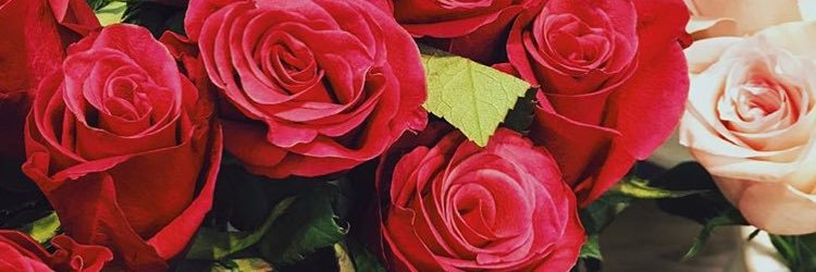 E_H_ALSH's profile banner image