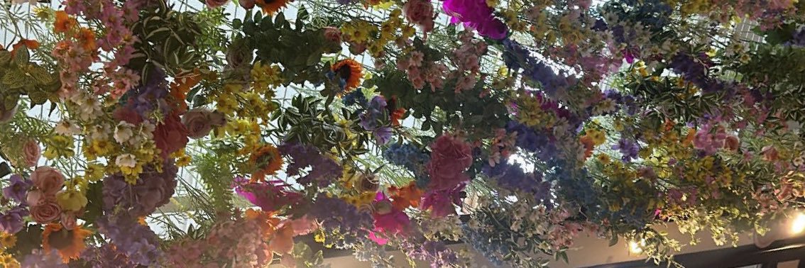 priscilla ♡ banner