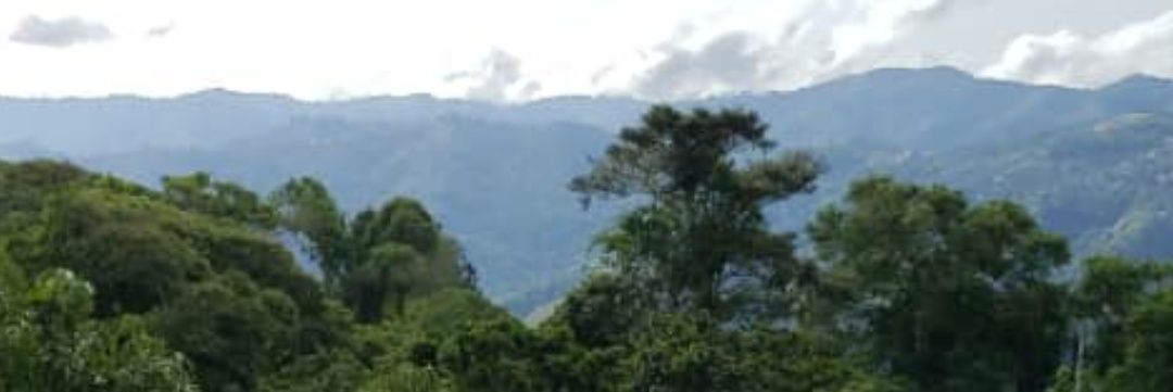 mdaodao's profile banner image