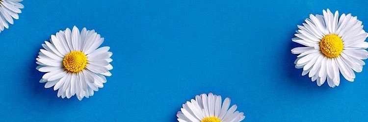 Osmy_Reeves's profile banner image