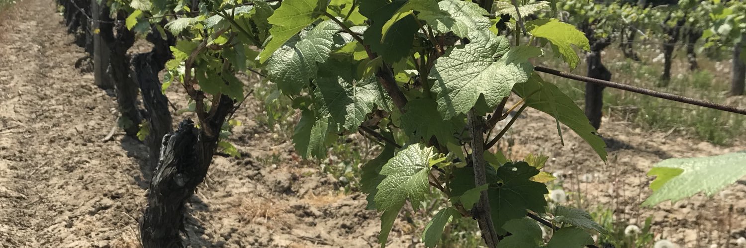 Magdalena Kaiser banner