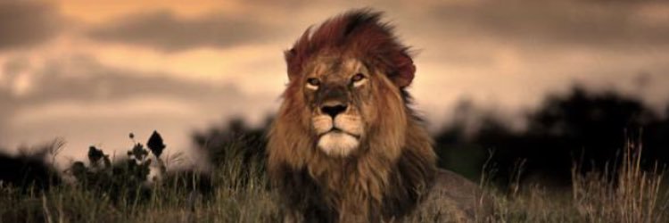 TheeRealGhost_'s profile banner image