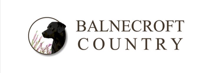 BalnecroftCC's profile banner image
