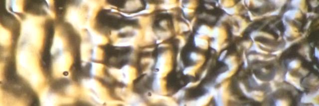Joddeeerrrsss's profile banner image