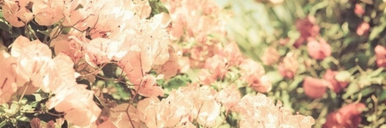 Amantar18's profile banner image