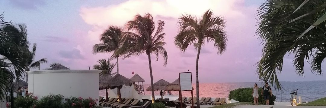 Michaela McCune banner