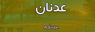 k88ads1's profile banner image