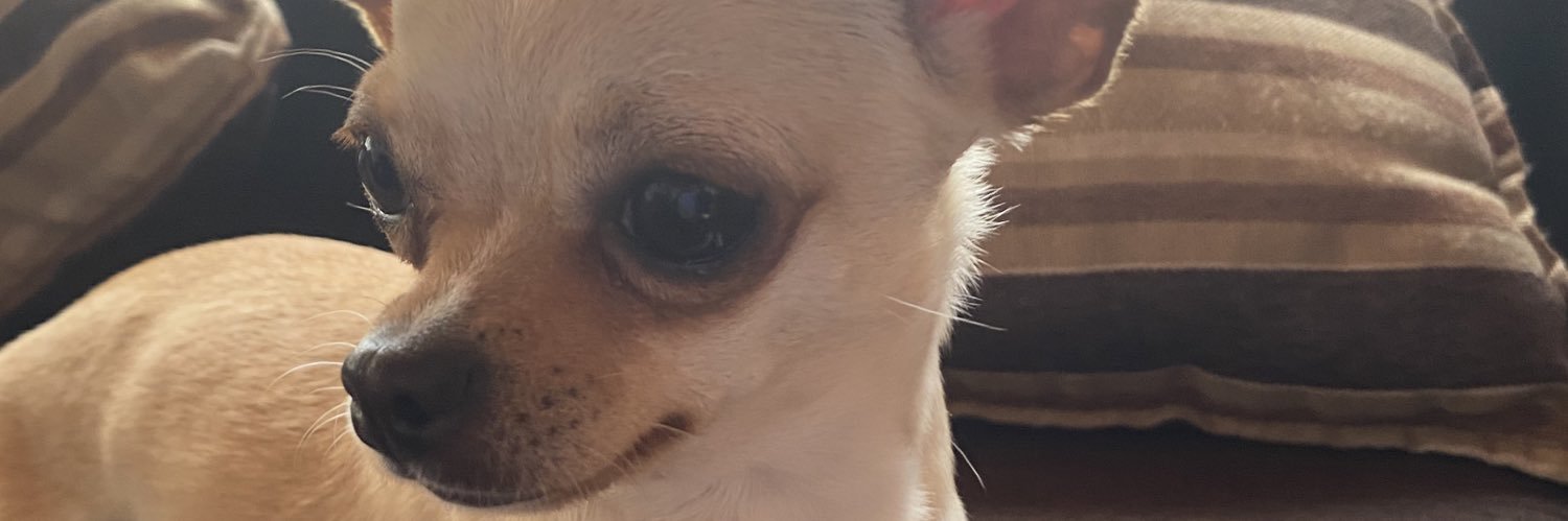Constanza1213's profile banner image