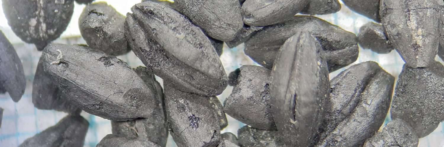 Süleyman M. Tikveşlioğlu banner