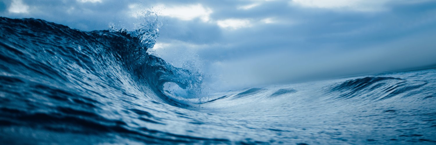 Radostina Shopova banner