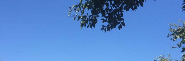 agustinaaaa_v Profile Banner