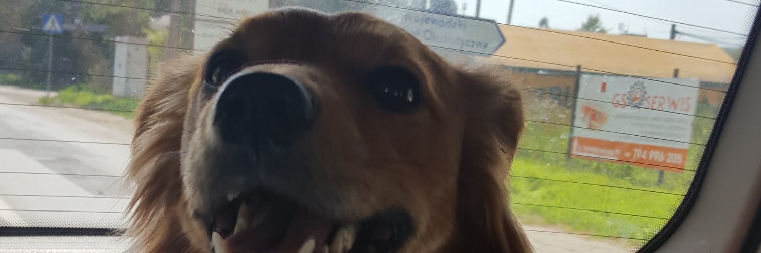 marciaowl's profile banner image