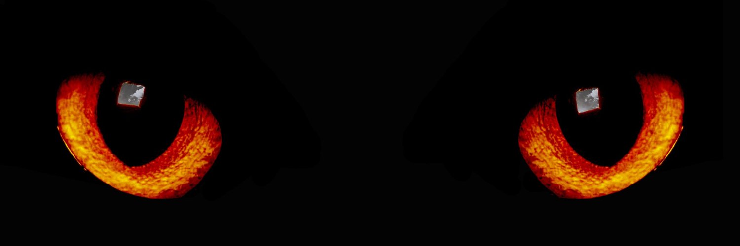 reind_deer's profile banner image