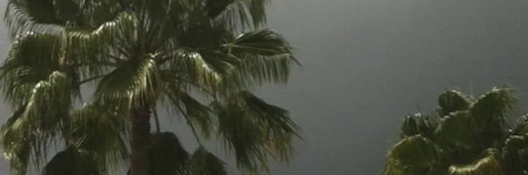 vibinwithkyle's profile banner image
