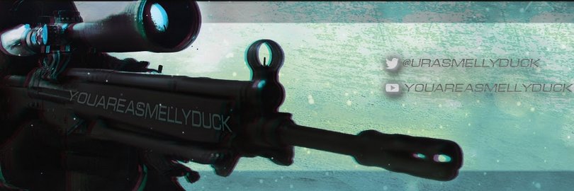 youareasmellyduck banner