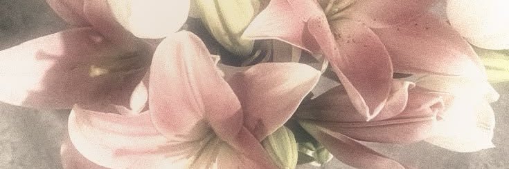🫧🩰𝓋𝒾𝒶 ♡︎ banner