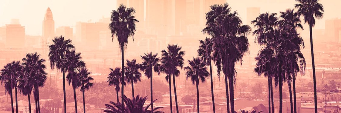 cam_whit's profile banner image