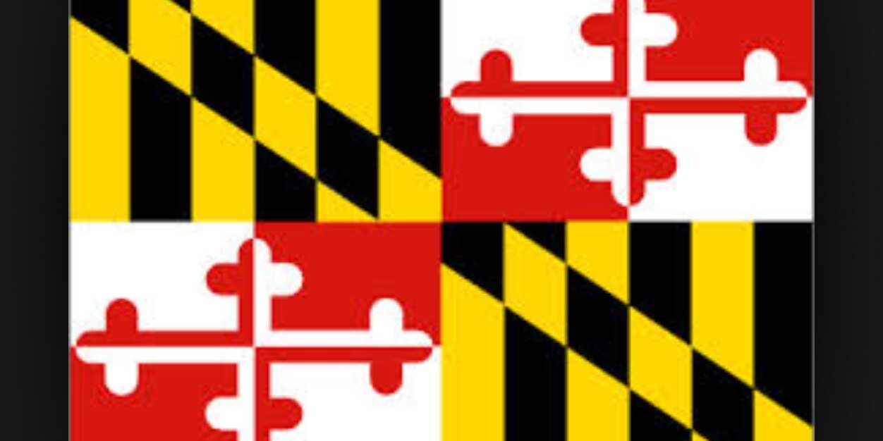 UMDSteelBridge's profile banner image