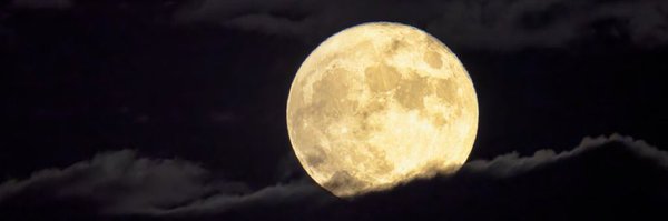 hidekiminos Profile Banner
