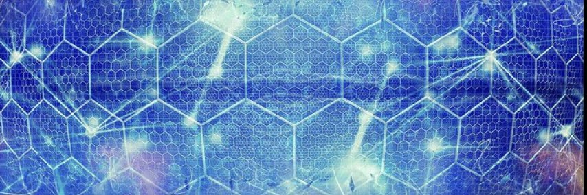 bozize banner